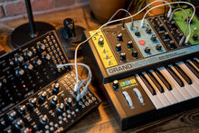Load image into Gallery viewer, Moog Grandmother 👵
