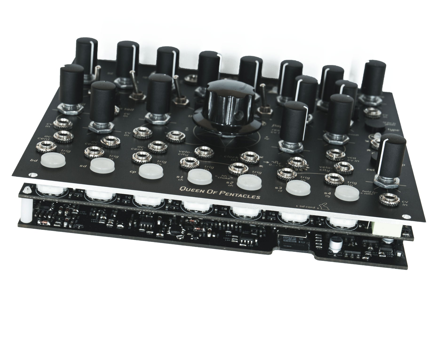 Endorphin.es Black Queen of Pentacles 7 Voice 909 Drum Generator