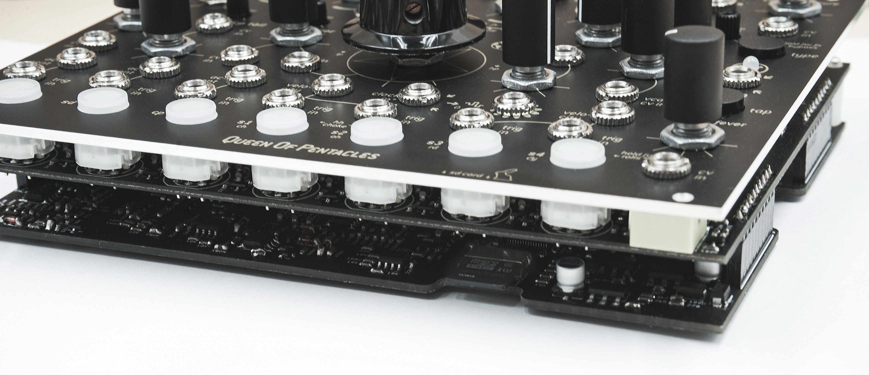 Endorphin.es Black Queen of Pentacles 7 Voice 909 Drum Generator