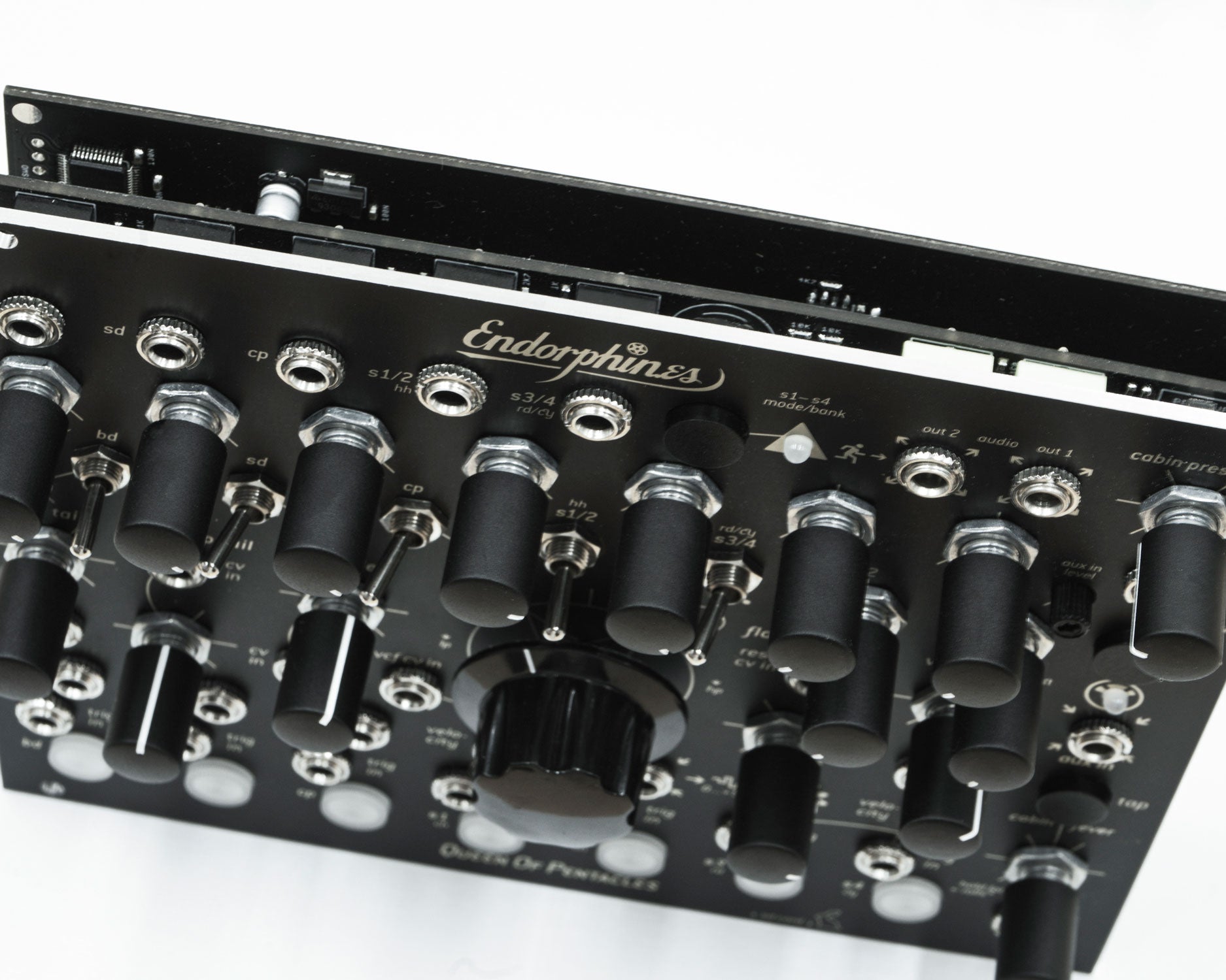 Endorphin.es Black Queen of Pentacles 7 Voice 909 Drum Generator