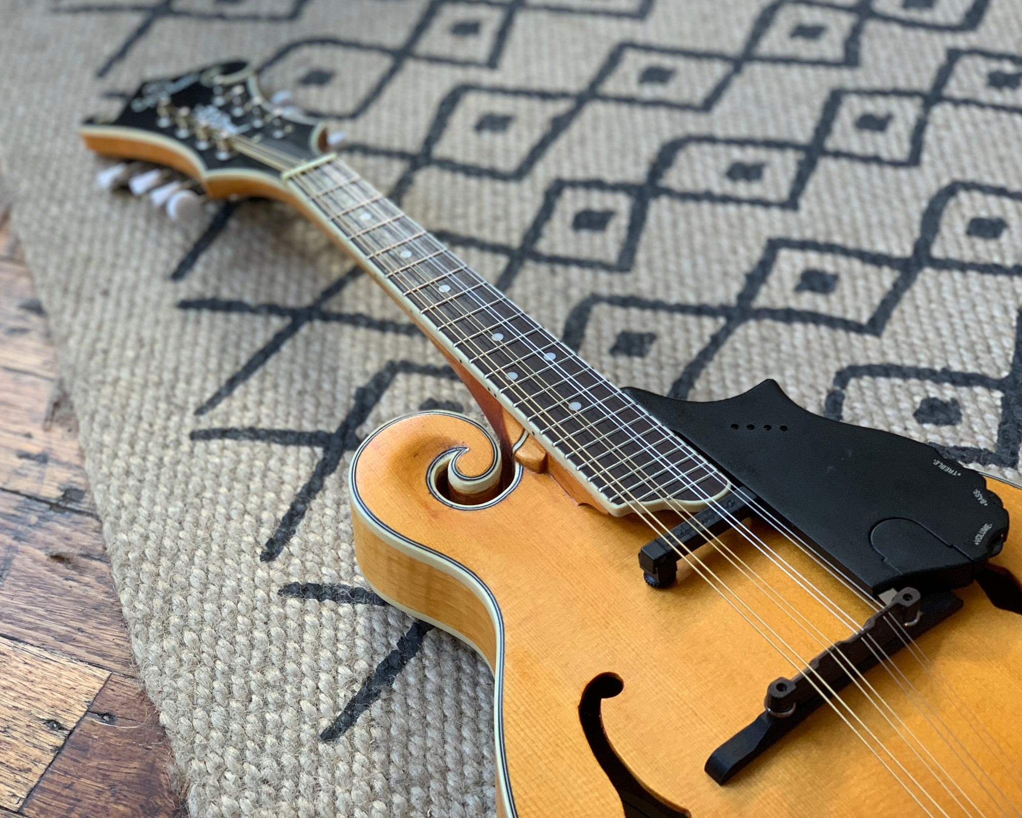 Epiphone mm50e hot sale