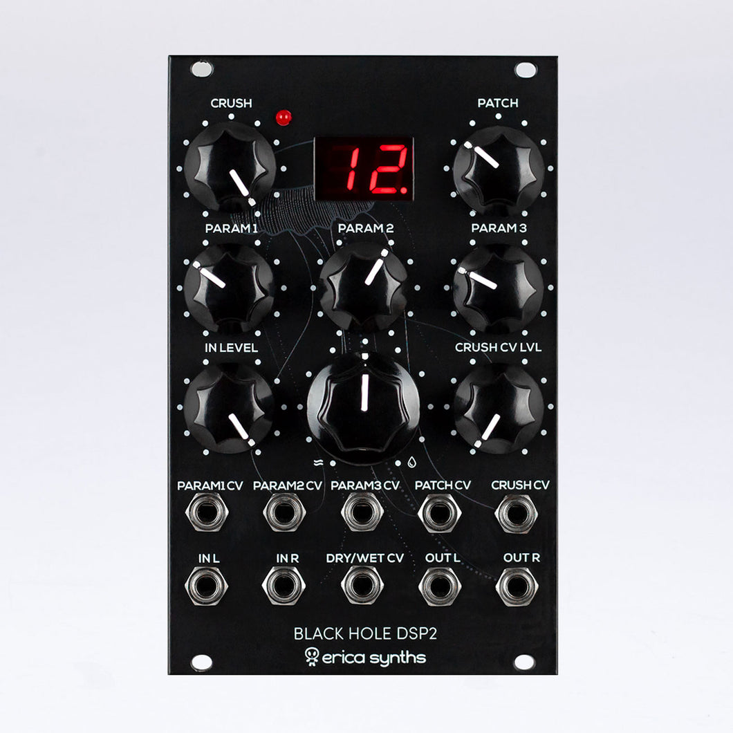 Erica Synths Black Hole DSP2