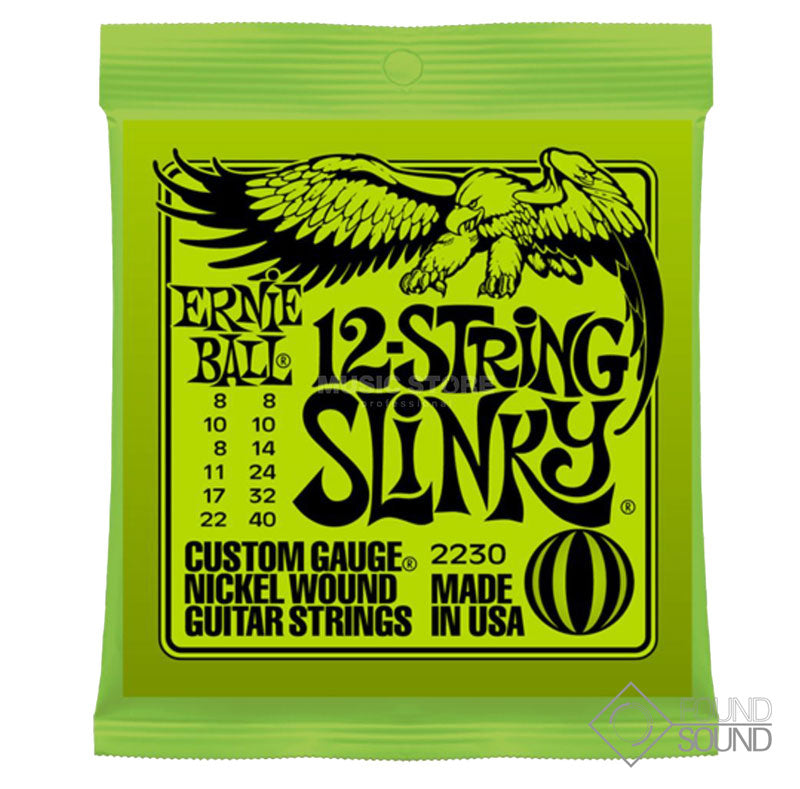 Ernie Ball 12 String Slinky
