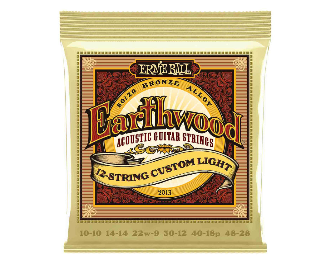 Ernie Ball Earthwound 12 String 8020 2013 Bronze 10-48