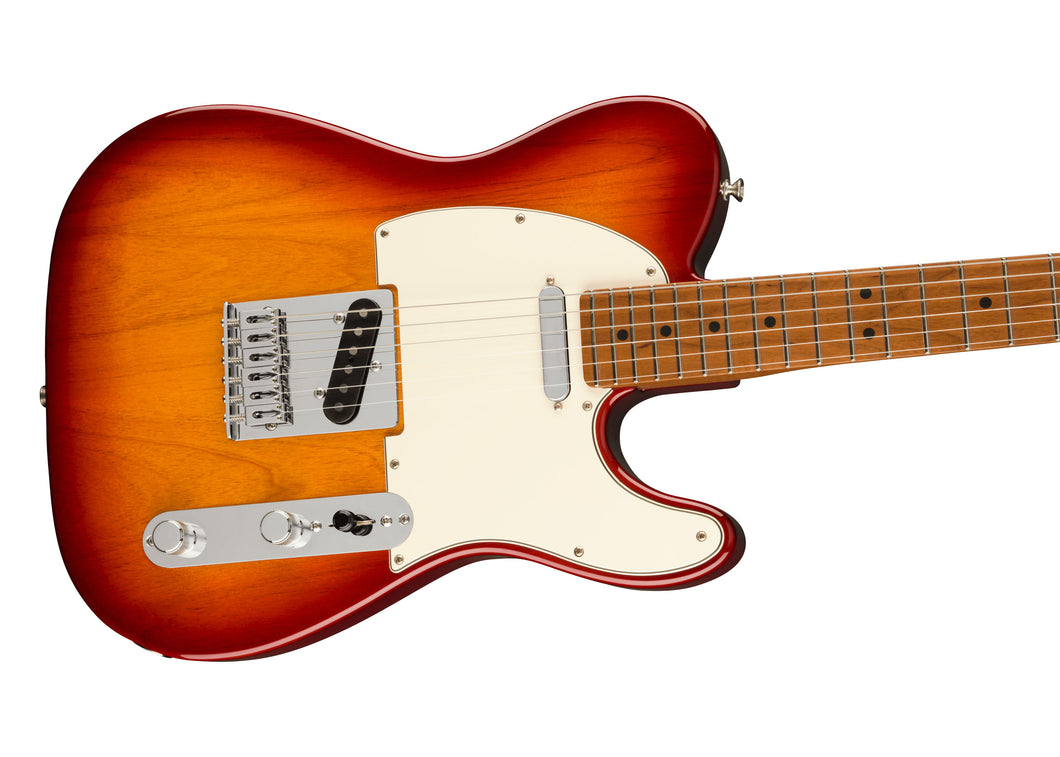 Fender Limited Edition Player Telecaster with Roasted Maple Fingerboard - Sienna Sunburst