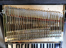 Load image into Gallery viewer, 1973 Fender Rhodes Piano Bass

