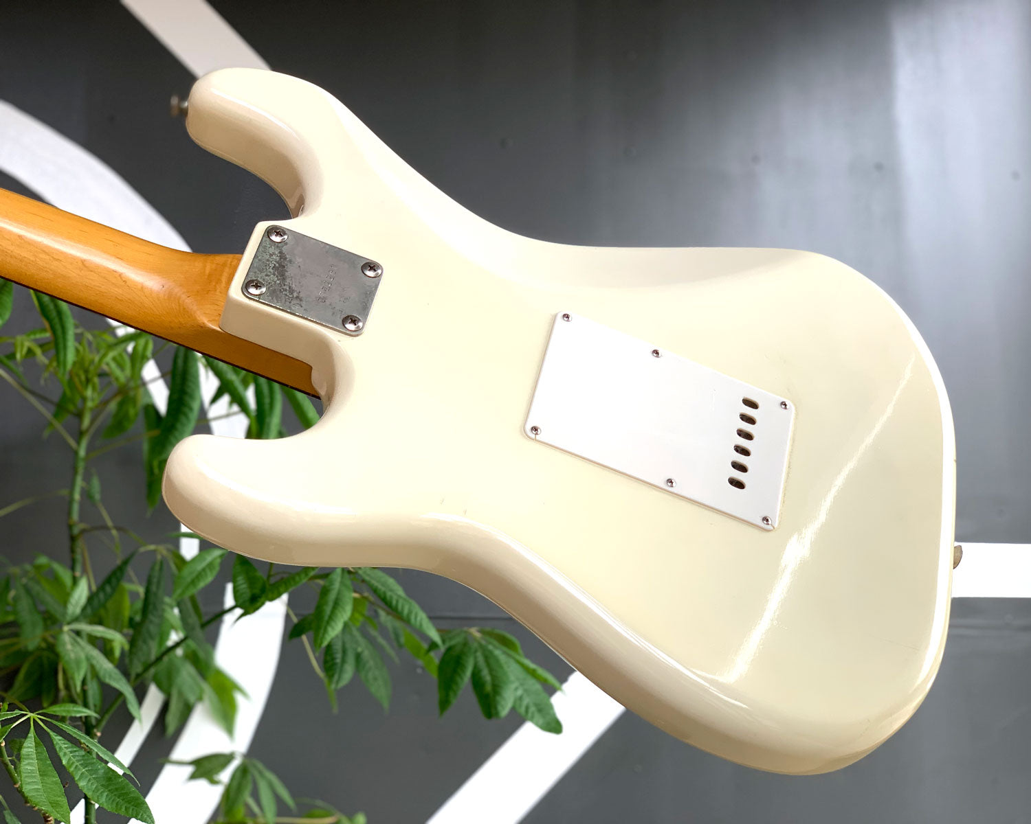 【値下げ】Greco SE800J Jeff Beck model【破損あり】 値下げ】Greco SE800J Jeff Beck model【破損あり】 楽器・機材