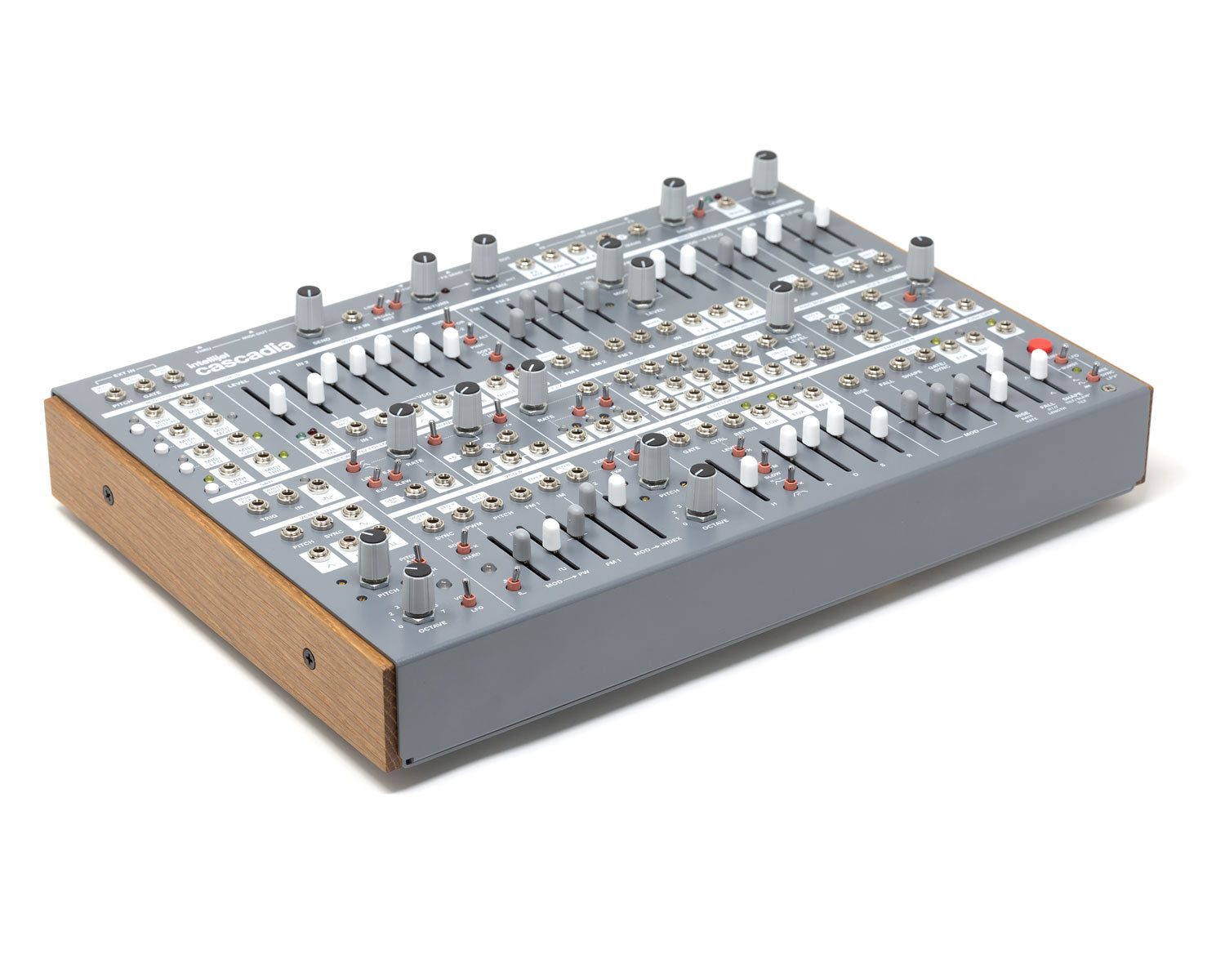Intellijel Cascadia Semi-Modular Mono Synth - Grey – Found Sound