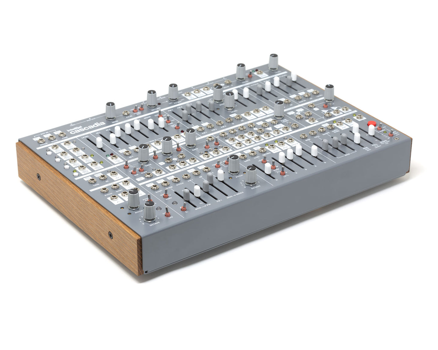 Intellijel Cascadia Semi-Modular Mono Synth - Grey