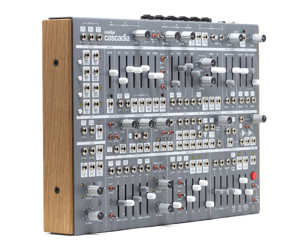 Intellijel Cascadia Semi-Modular Mono Synth - Grey