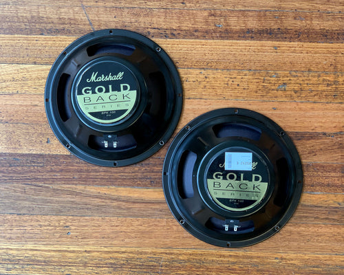 Marshall gold back speaker discount