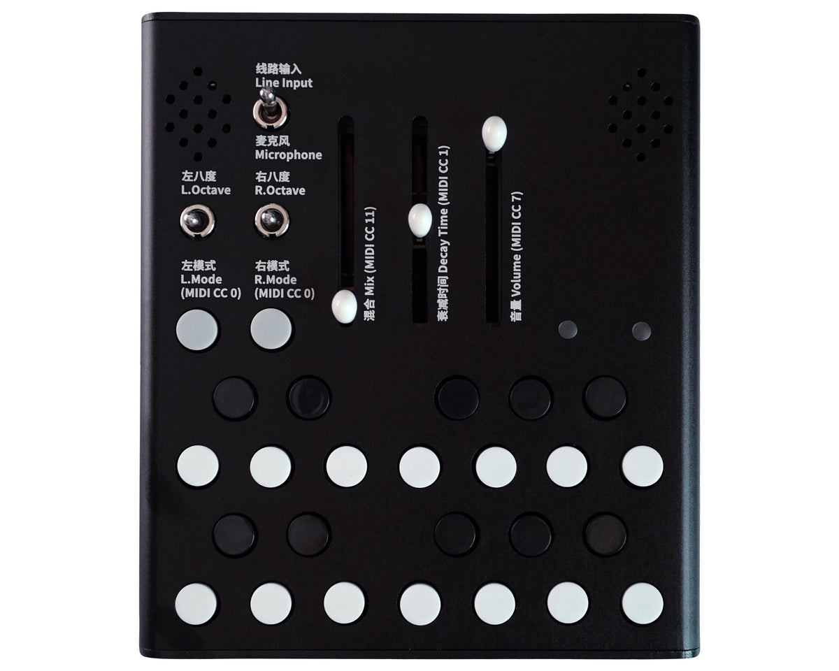 Meng Qi Wingie2 Stereo Resonator – Found Sound