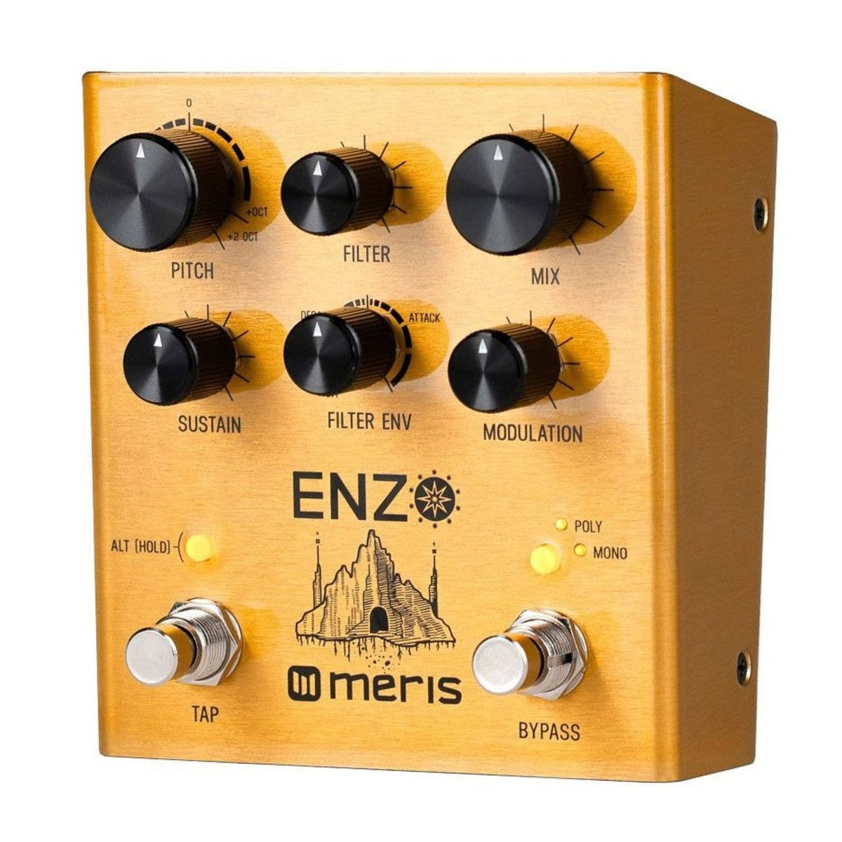 Meris Enzo Multi-Voice Synthesizer Pedal