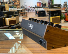 Load image into Gallery viewer, Moog DFAM Drummer From Another Mother
