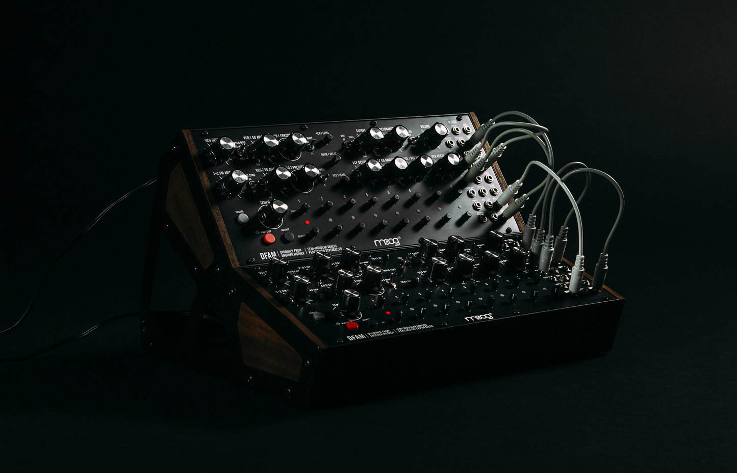 Moog DFAM Drummer From Another Mother