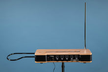 Load image into Gallery viewer, Moog Etherwave Theremin
