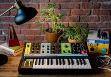 Load image into Gallery viewer, Moog Grandmother 👵
