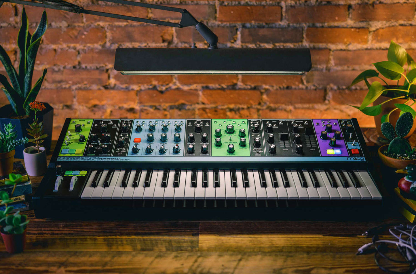 Moog Matriarch Patchable 4-note Paraphonic Analogue Synthesiser