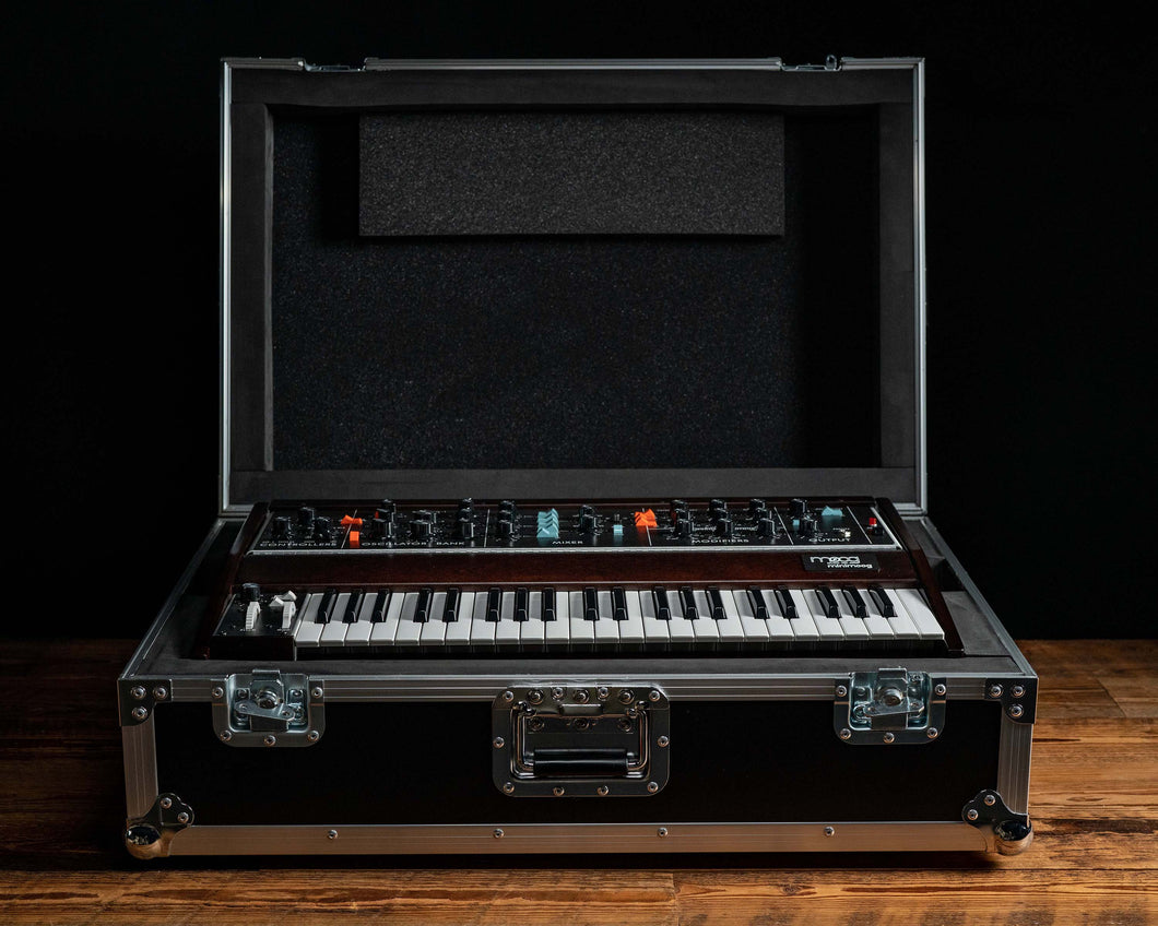 Moog Minimoog Model D ATA Case