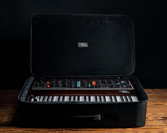 Moog Minimoog Model D SR Case