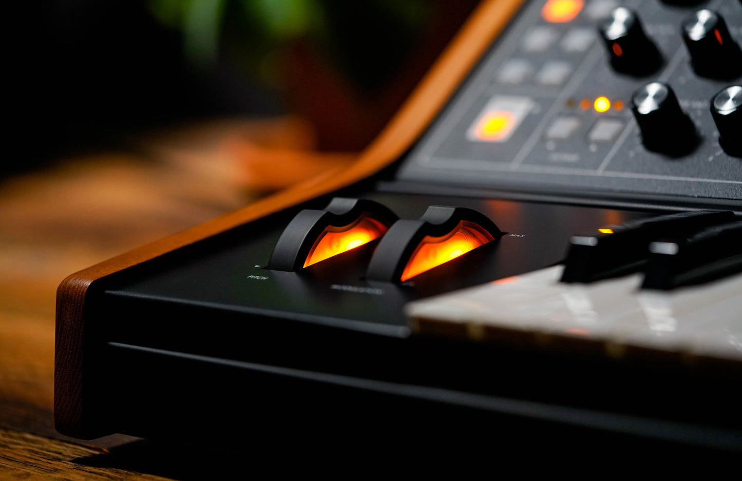 Moog Subsequent 25 Compact Paraphonic Analogue Synthesizer