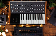 Load image into Gallery viewer, Moog Subsequent 25
