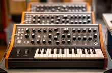 Load image into Gallery viewer, Moog Subsequent 25
