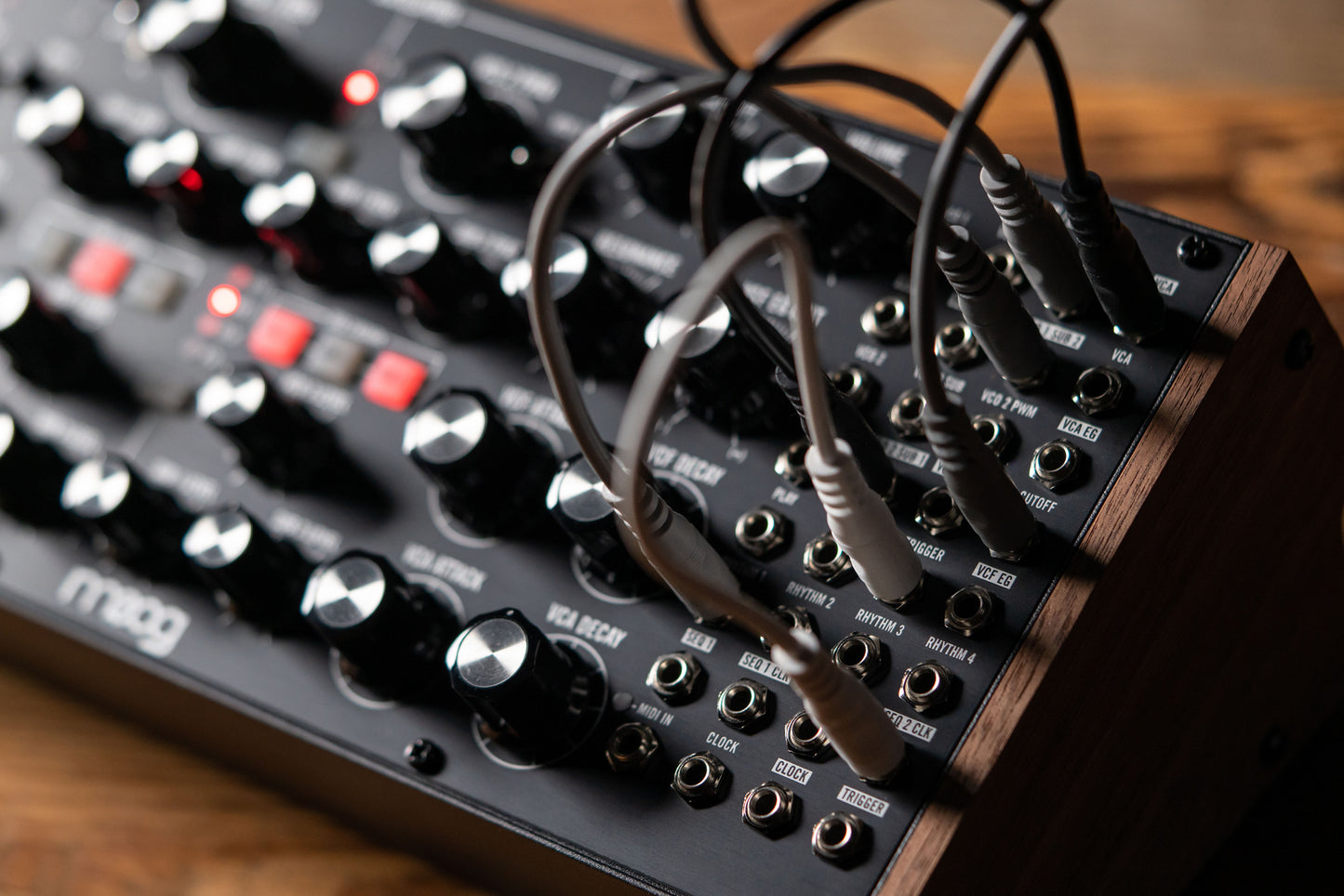Moog Subharmonicon Semi-Modular Polyrhythmic Analogue Synthesizer