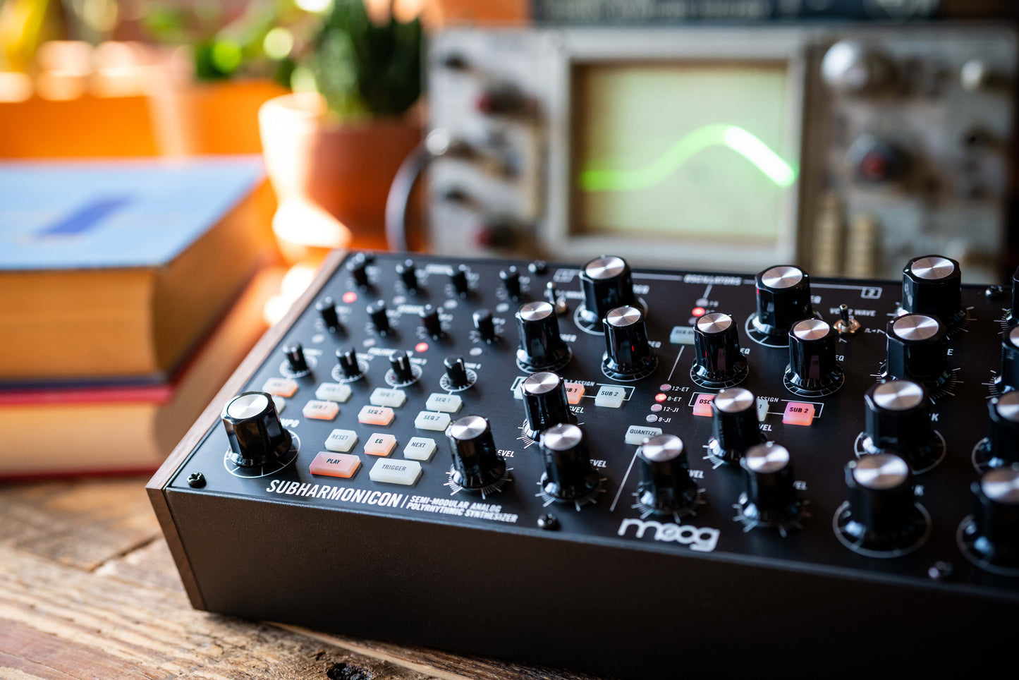 Moog Subharmonicon Semi-Modular Polyrhythmic Analogue Synthesizer