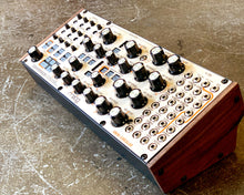 Load image into Gallery viewer, Moog Subharmonicon
