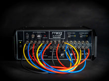 Load image into Gallery viewer, Moog 16 Channel Vocoder

