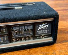 Load image into Gallery viewer, Peavey Musician
