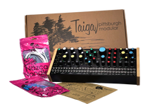 Load image into Gallery viewer, Pittsburgh Modular Taiga Three Oscillator Dynamic Synthesizer
