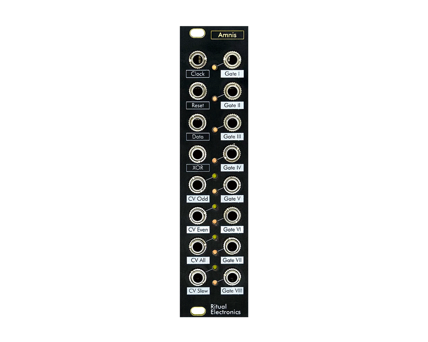 Ritual Electronics Amnis Digital Shift Register Eurorack Module