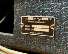Load image into Gallery viewer, Roland RE-201 Space Echo
