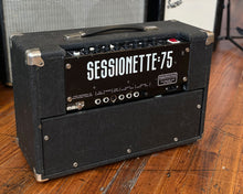 Load image into Gallery viewer, Steward/Session Sessionette 75 Watt 2x10&quot; Combo - Made in UK
