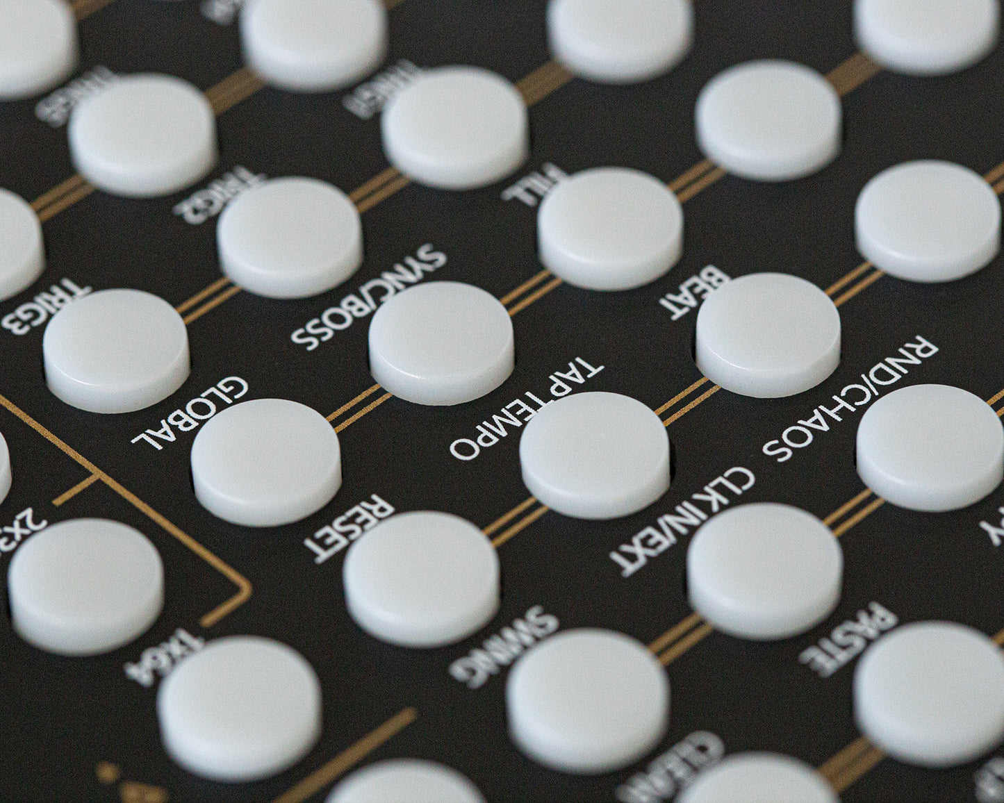 Tiptop Audio Circadian Rhythms - Black Edition