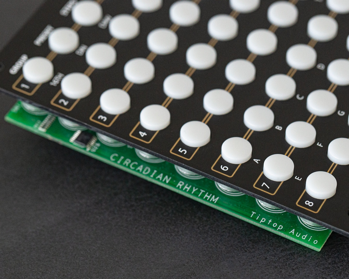 Tiptop Audio Circadian Rhythms - Black Edition