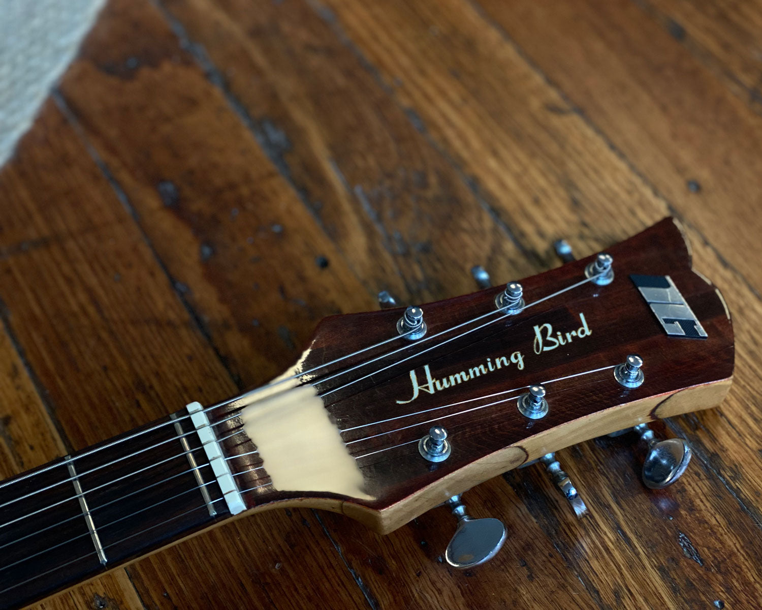 Tokai hummingbird 2025 acoustic guitar