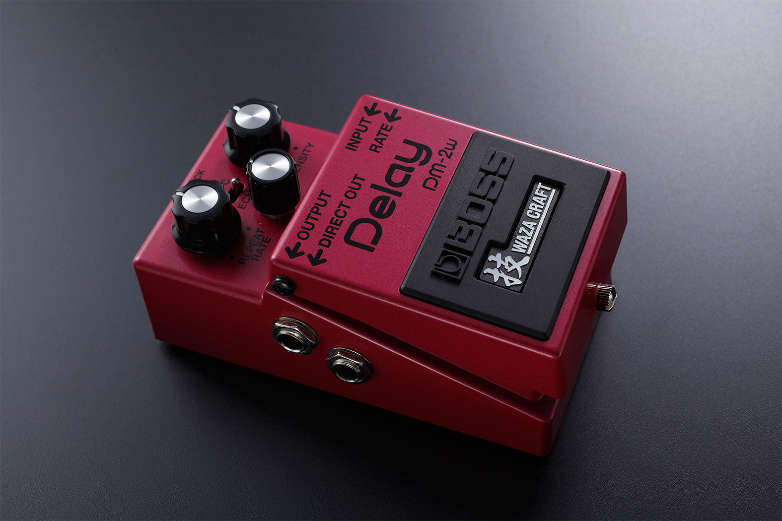 BOSS DM-2w Delay – Found Sound