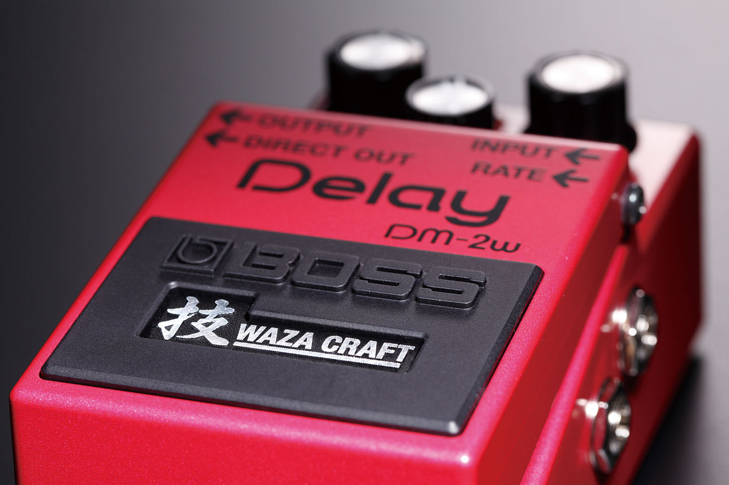 BOSS DM-2w Delay