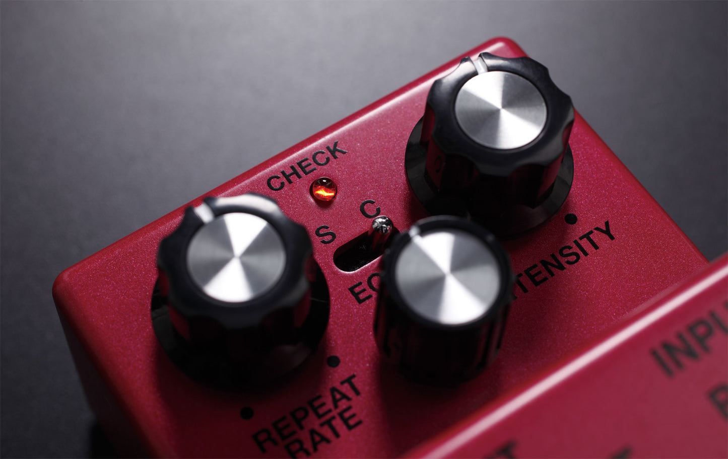 BOSS DM-2w Delay