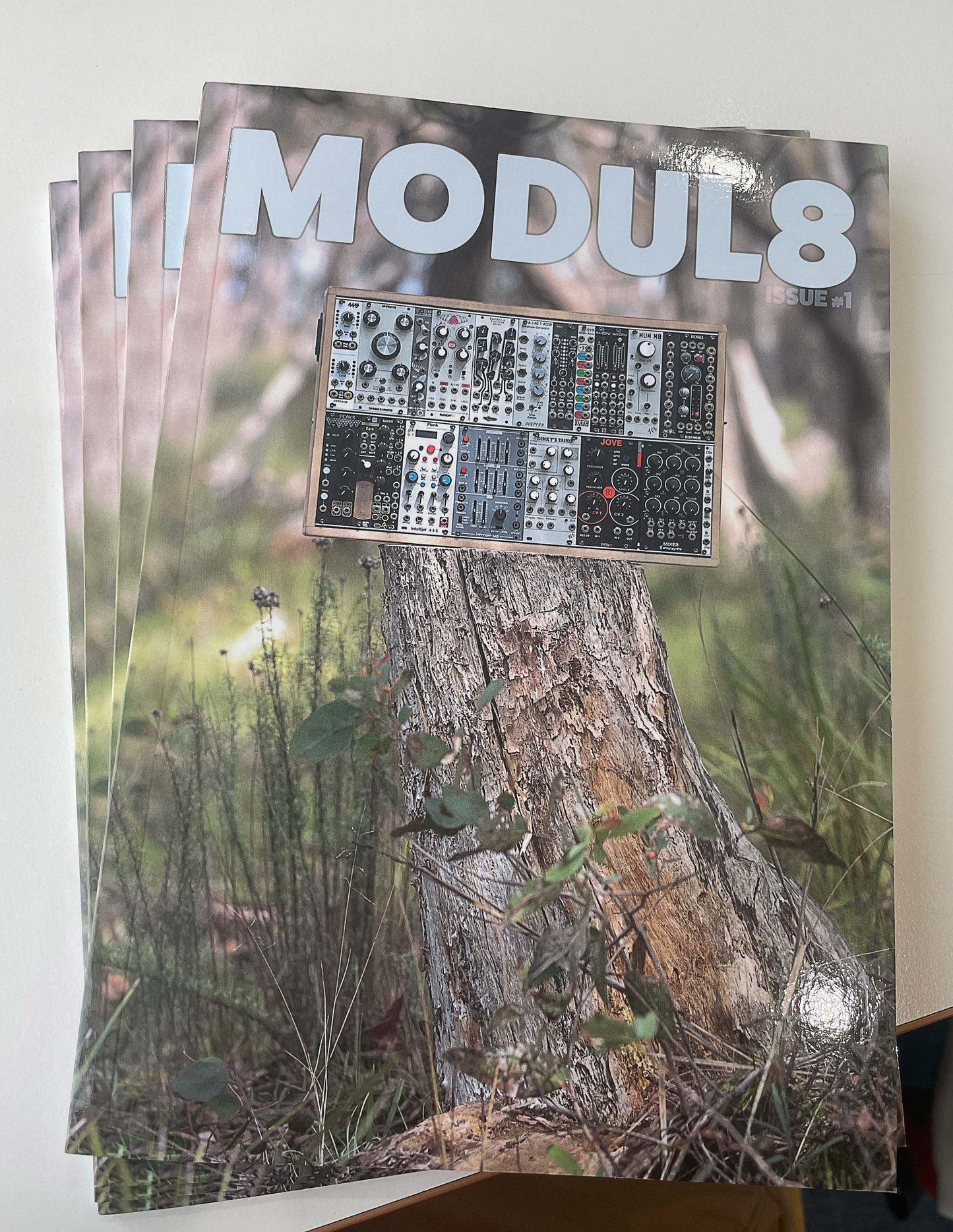 Modul8 Issue 1