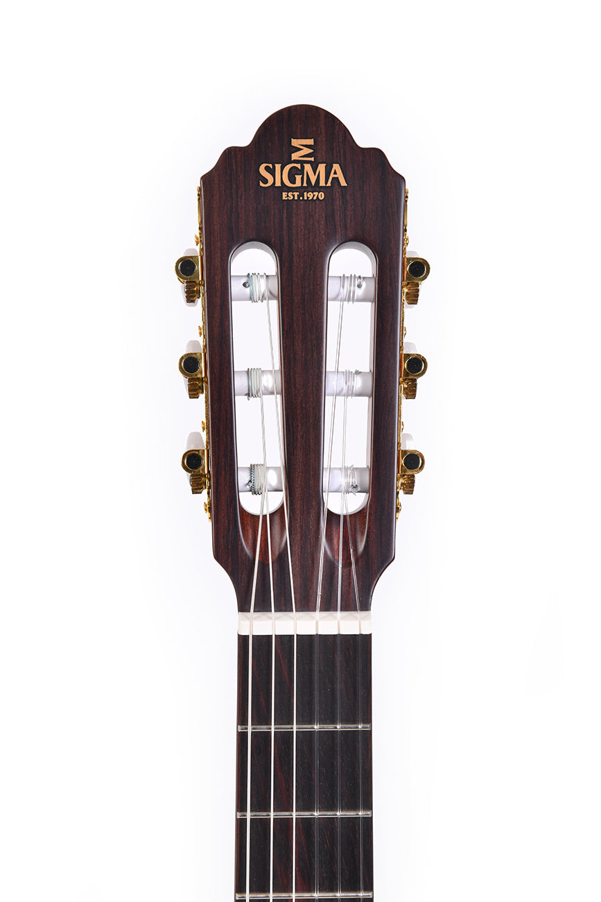 Sigma CTMC-2E