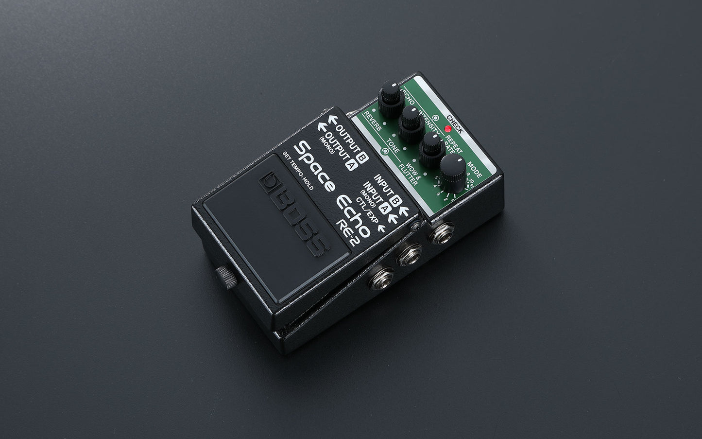 BOSS RE-2 Space Echo