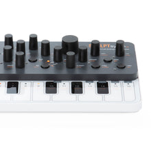 Load image into Gallery viewer, Modal Electronics SKULPTsynth SE 4 Voice Virtual-Analogue Synthesiser
